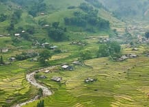 Sapa Rice Terraces