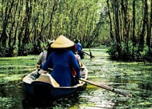Tra Su Cajuput Forest