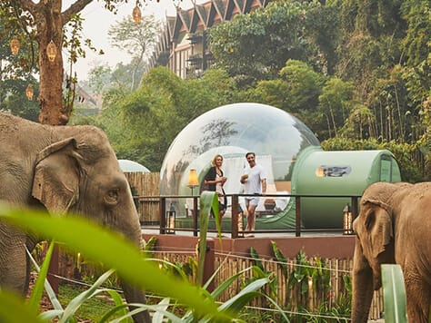 Anantara Jungle Bubble 01 474x365 Anantara Jungle Bubble