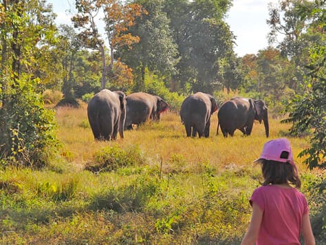 Vietnam, Cambodia & Thailand 21 Days