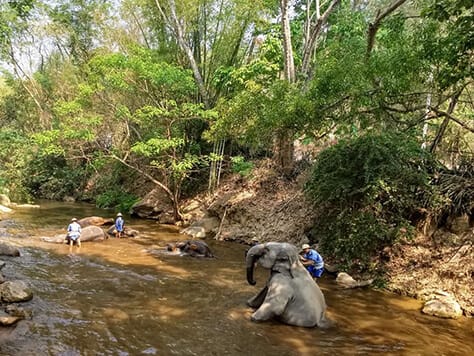 Thailand Cambodia Classic Tour 8 Days
