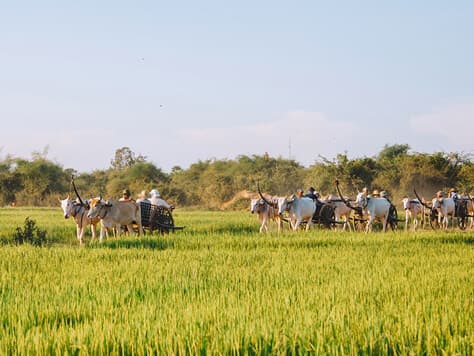 Best Asia Tour & Mekong Cruise 20 Days