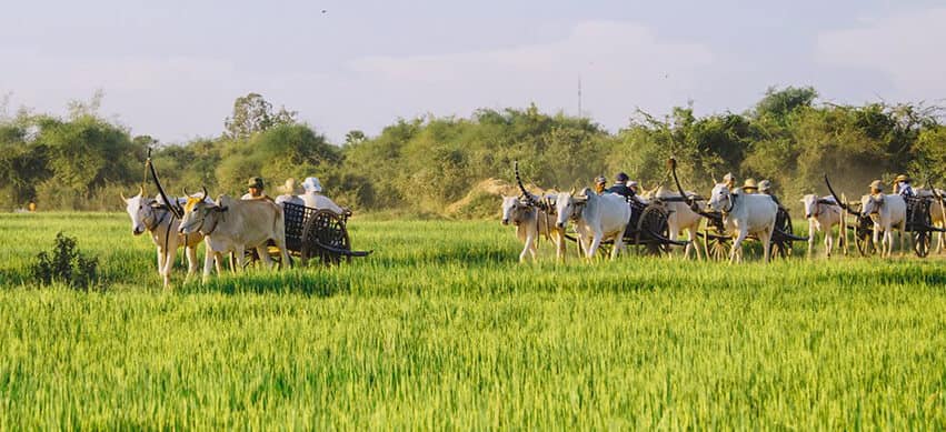 Thailand Cambodia Vietnam Tour with Mekong Cruise 20 Days