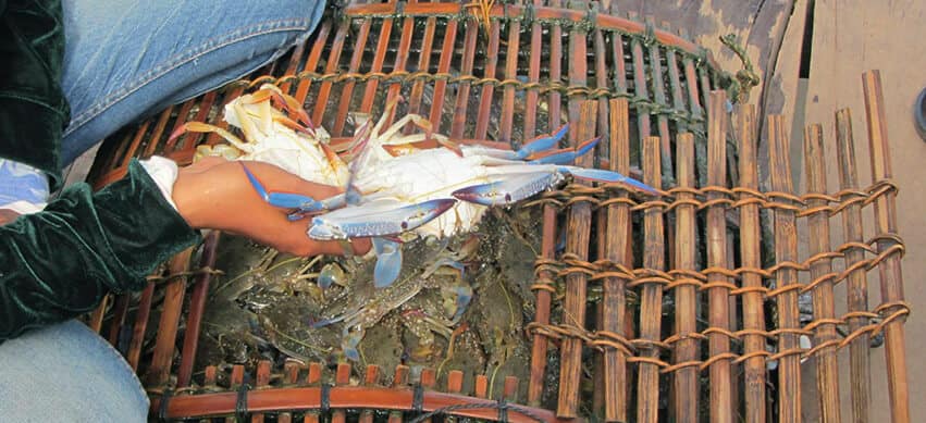 Grand Experience Laos Cambodia 22 Nights / 23 Days